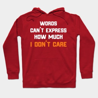 Words Can't Express How Much I Don't Care Hoodie